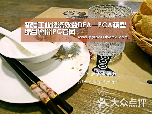 新疆工业经济效益DEA—PCA模型综合评价|PG官网(图2) PG官网