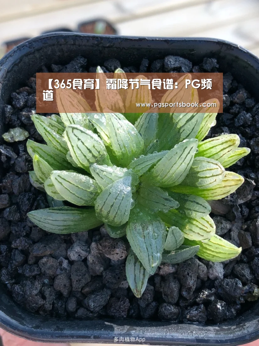【365食育】霜降节气食谱:PG频道(图2) PG体育